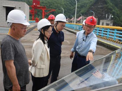 湖南省水利厅工作组赴皂市水库检查指导工作